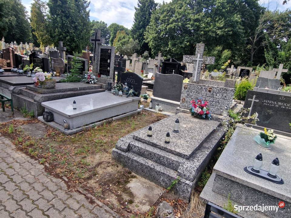 Odstąpię Miejsce Kwaterę Prawa Do Pochówku Na Warszawa