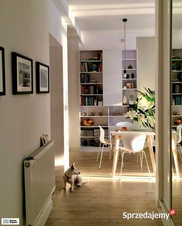 2pok 50met Parku Tołpy PIWNICA Wrocław sprzedam