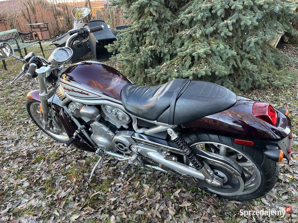 HarleyDavidson VRSCR Street Rod Vrod warmińsko-mazurskie Mikołajki