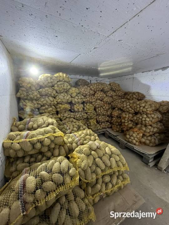 Ziemniaki 15 Irga białe duże ładne bez robaka i