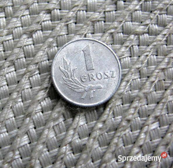 000polska 1 gr 1949r Kalisz sprzedam