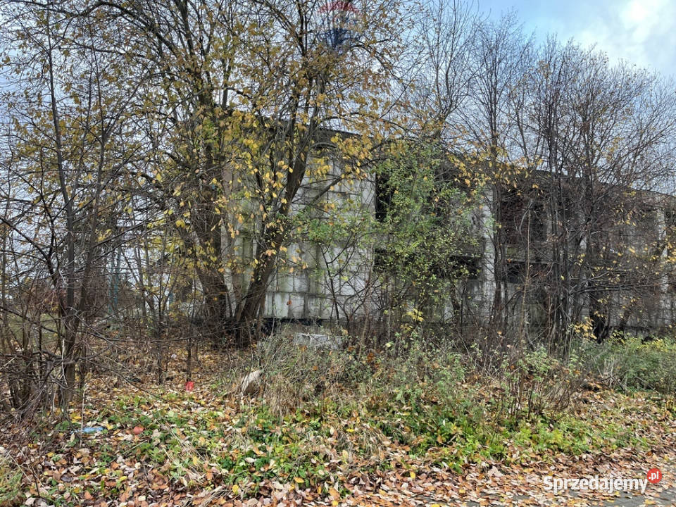 Działka inwestycyjna w Bezledach sprzedam