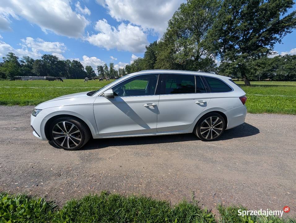 Skoda Octavia IV mocno doinwestowana Czechowice-Dziedzice