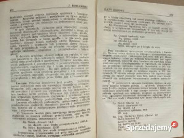 Terapia szczegółowa Przewodnik terapeutyczny Łódź
