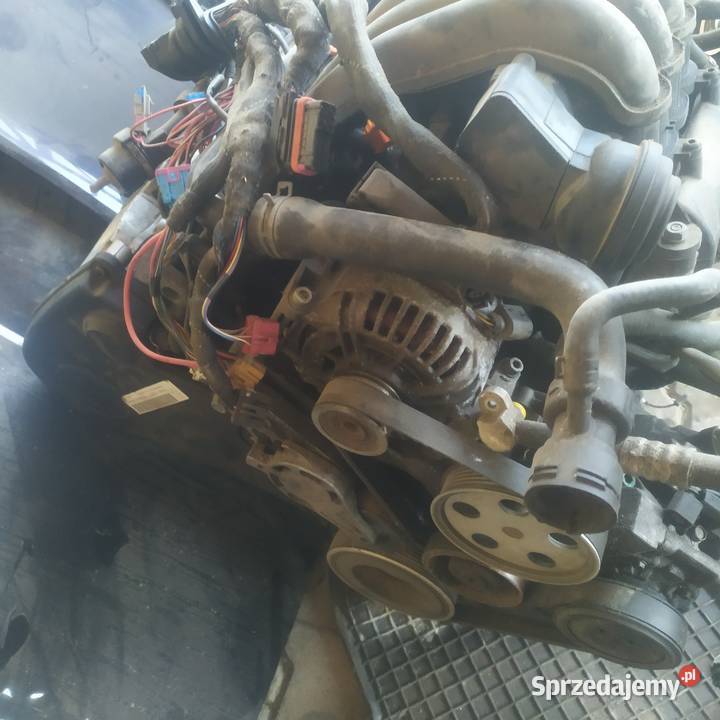 Silnik ALT Części Audi A4b6 20 b osobowe Pniówek