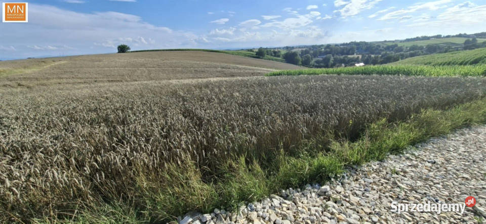 sprzedaży gruntu 1600m2 Kocmyrzów 236zł/m2
