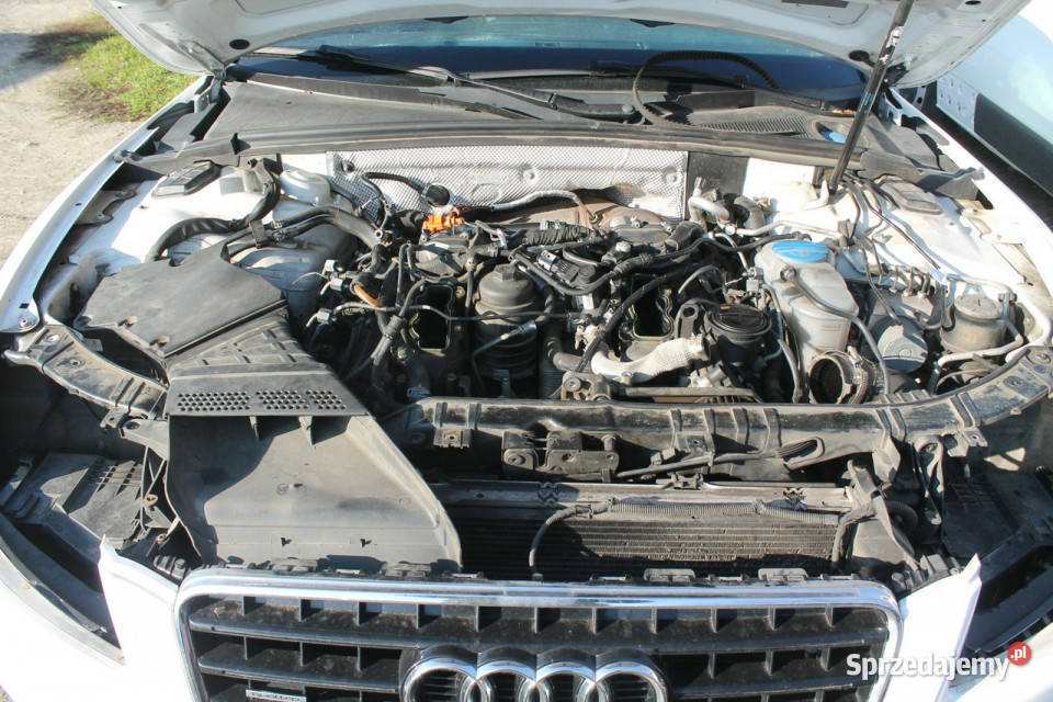 Audi A5 Coupe 8T 20072016 Sportowy / Coupe Ostrów Wielkopolski