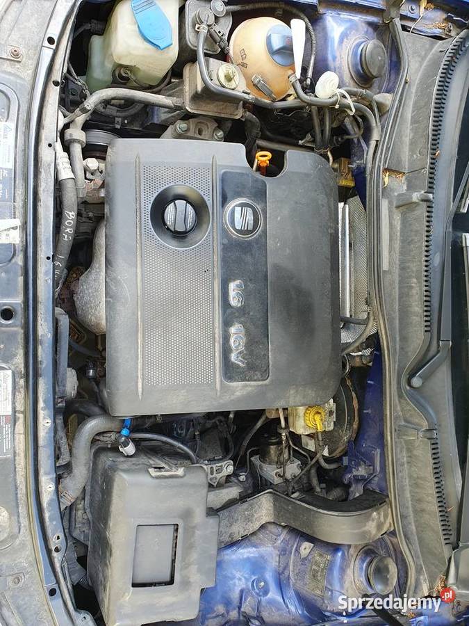 Seat Leon I 16 16V 110 2002 278 2 właściciel