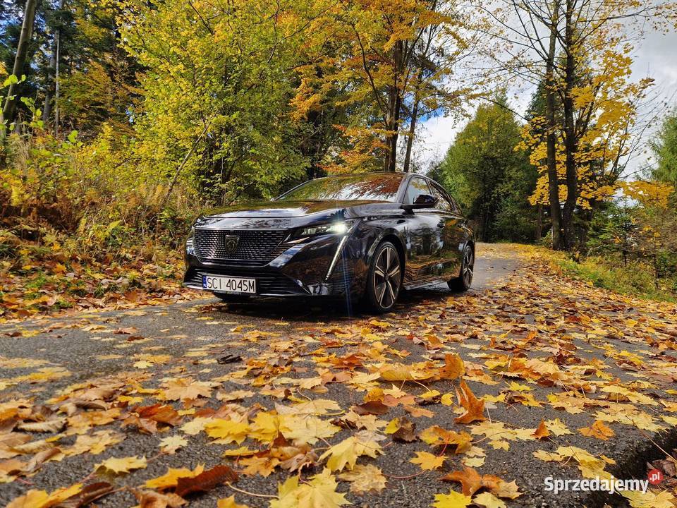 Peugeot 308 GT 12 Turbo 2021 Zadbany wielofunkcyjna kierownica Wisła