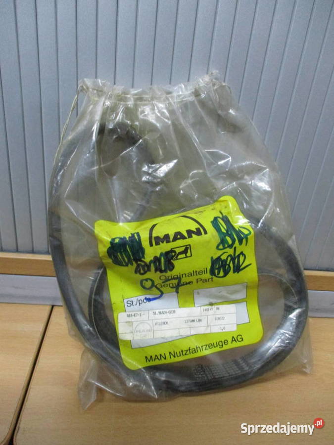 Pasek wielorowkowy Man 51968200239 ciężarowe Mogilno