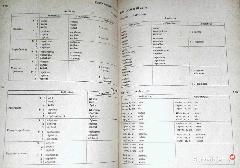 Gramatyka opisowa języka łacińskiego Jan sprzedam