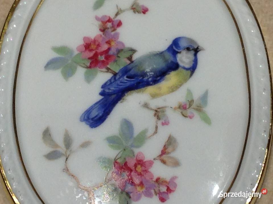 Stary Porcelanowy Obrazek KAISER WGERMANY Vógel Nowa Sól sprzedam