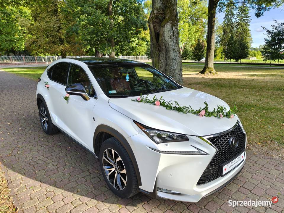 Lexus F SPORT 200t DVD łódzkie Łódź