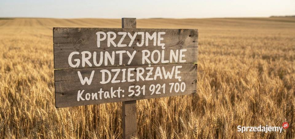 Wydzierżawię grunty rolne 10000m2 Żytniów