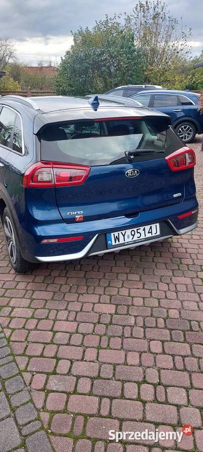 SALON gniazdo SD mazowieckie Sochaczew sprzedam