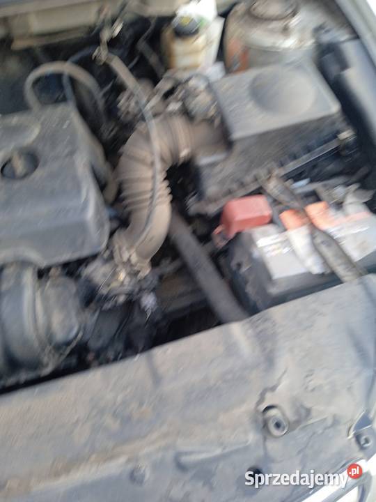 Toyota Corolla Toyota Parądzice