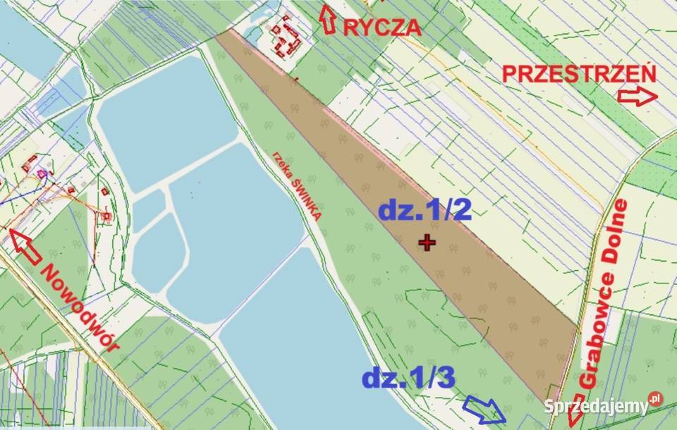 sprzedam LAS - ok.8ha Grabowce Dolne k/Ryk