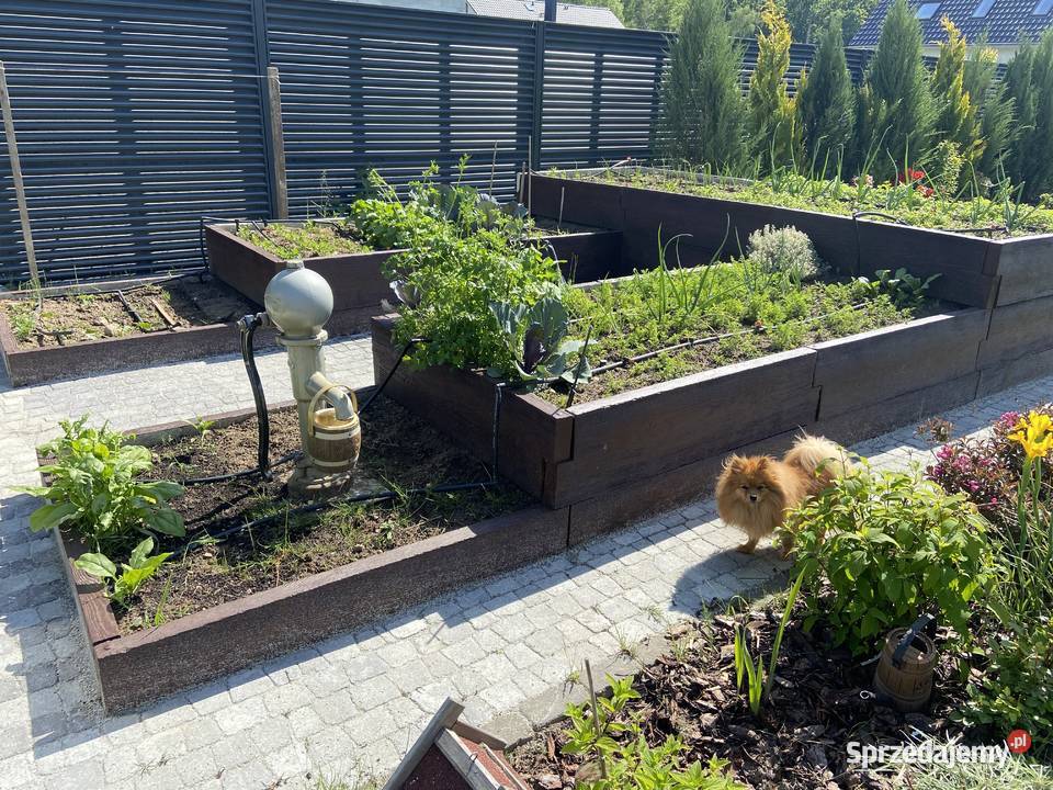 Warzywnik betonowy Skrzynia na warzywa Rabata Łódź