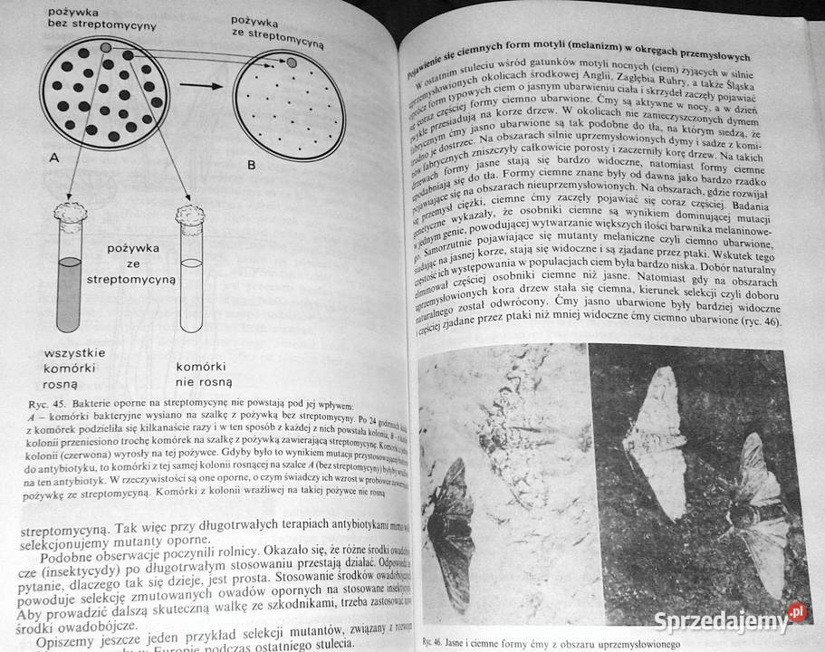 Biologia kl 3 i 4 Wacław Gajewski Aleksandra Rok wydania 1998 Chełm