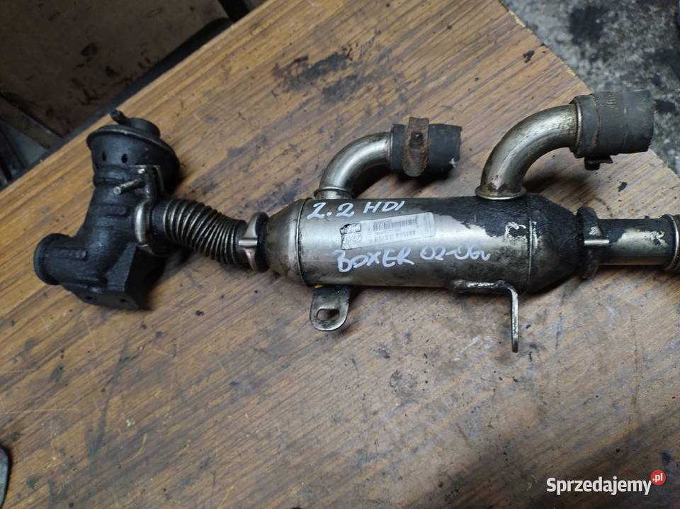 CITROEN JUMPER PEUGEOT BOXER 22HDI chłodnica Kielce