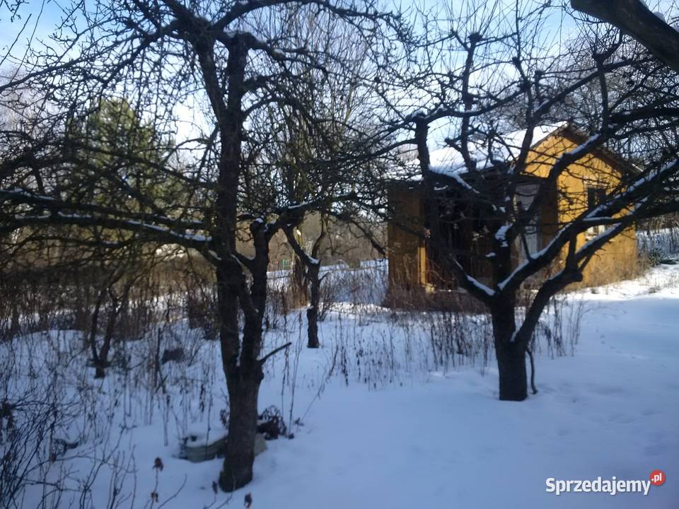 Działka ROD Bratek Dąbrowica 254m2 Ogródek 254m2 lubelskie