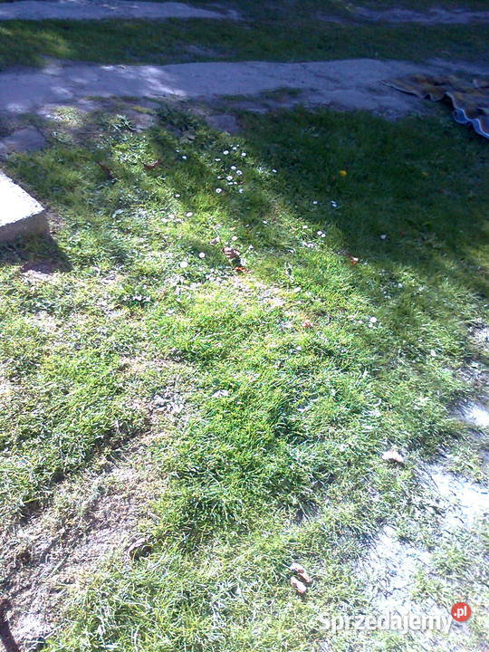 felga aluminiowa 16 Peugeot aluminiowe Jarosław