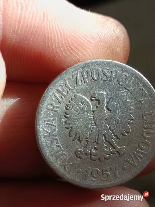 Sprzedam 50 gr 1957 r aaqq Numizmatyka lubelskie Chełm