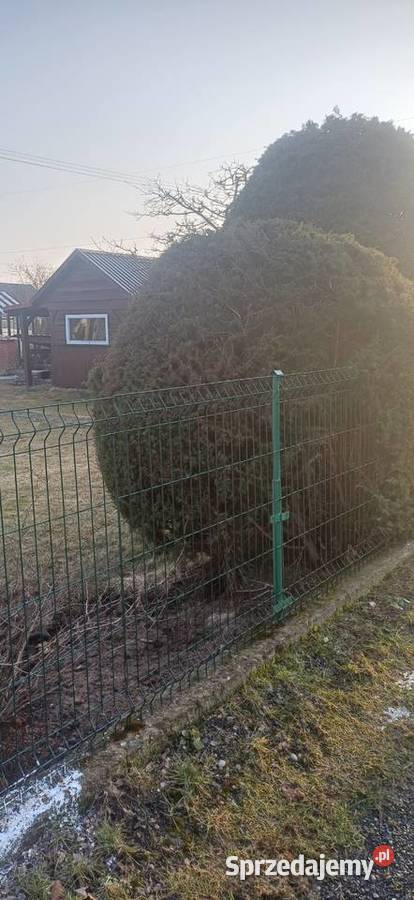 Działka RELAX Sprzedaż Ełk