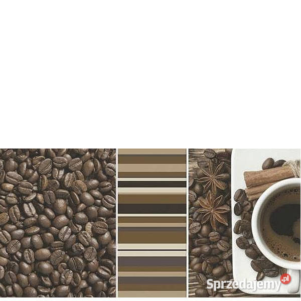 Vivida bianco Inserto Cafe B 30 x 60 Paradyż zachodniopomorskie Białogard sprzedam