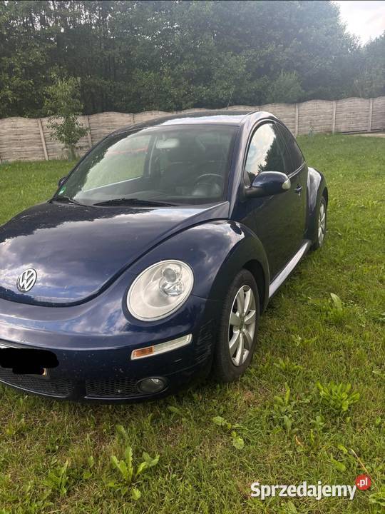 Volkswagen Beetle Piekoszów