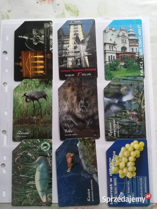 Kolekcja kart telefonicznych magnetycznych TP SA Kręćkowo