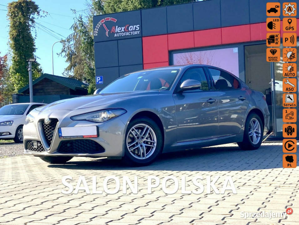Alfa Romeo Giulia Salon Polska I właściciel Konstancin-Jeziorna