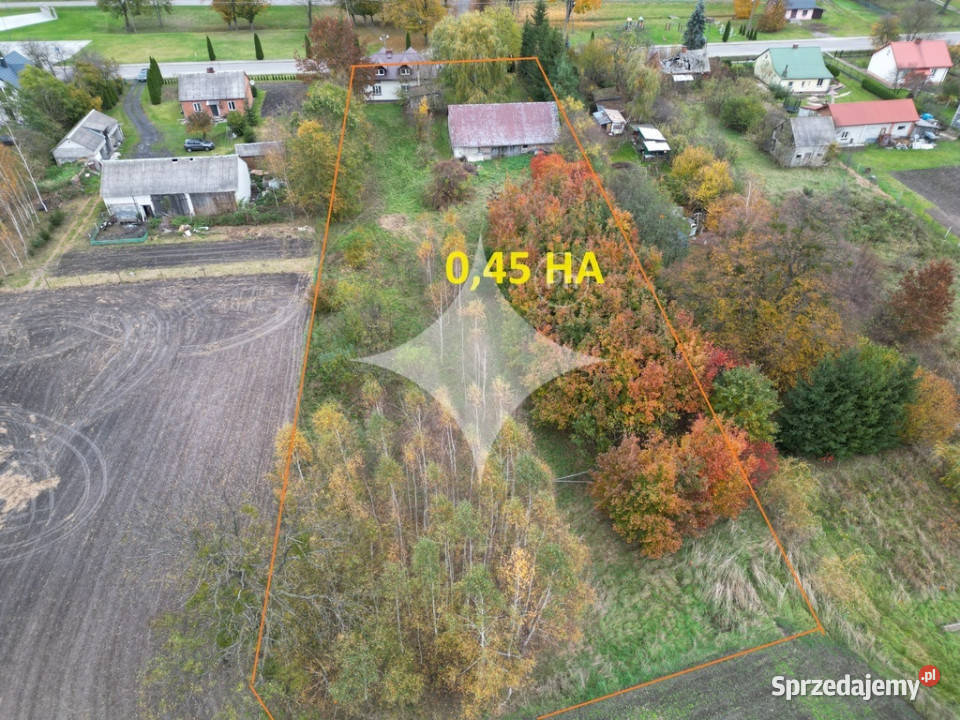 Duże siedlisko w centrum Tarnawatki Tarnawatka