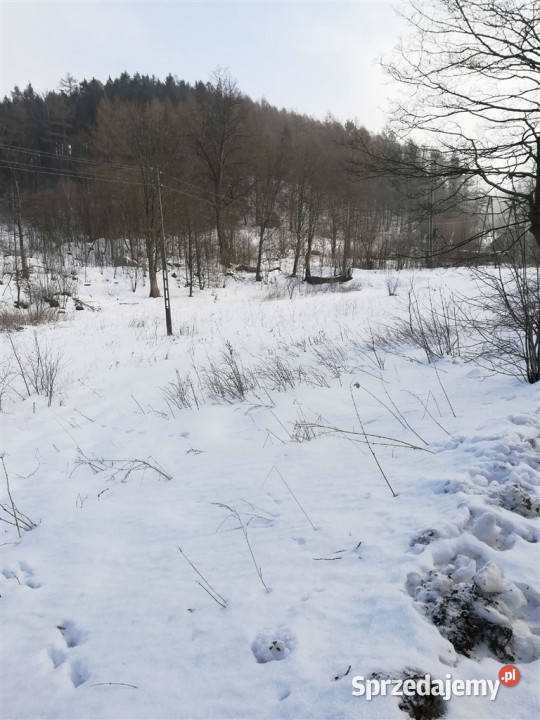 Działka na cele mieszkaniowe Boguszów Gorce Boguszów-Gorce