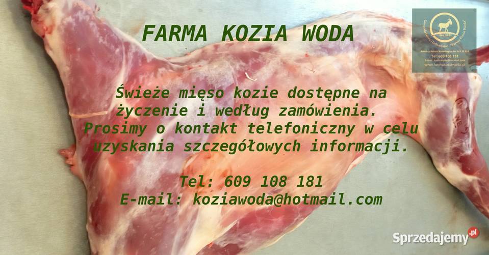 Legalne kozie mięso Radomsko