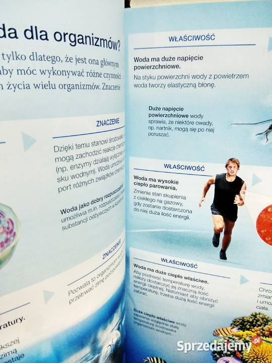 Biologia na czasie 1 podręczniki ponadpodstawowe Warszawa
