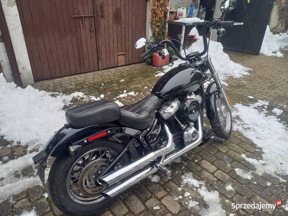 HarleyDavidson Fxst Softail Standard M8 Niski sprzedam