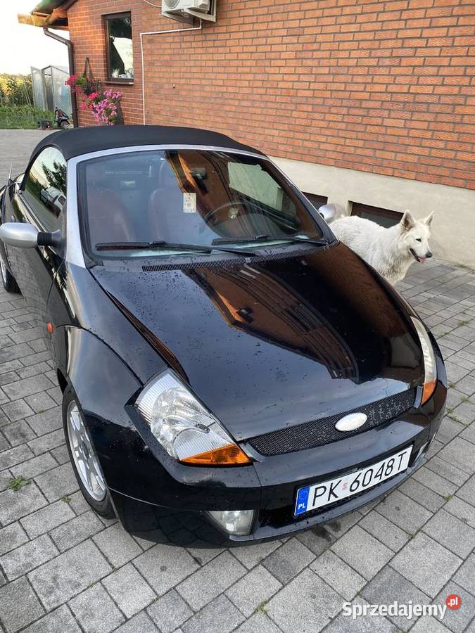 Ford street Ka Cabrio na lato benzyna Ślesin sprzedam