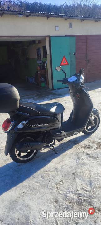 Sym Fiddle 125 Gorlice