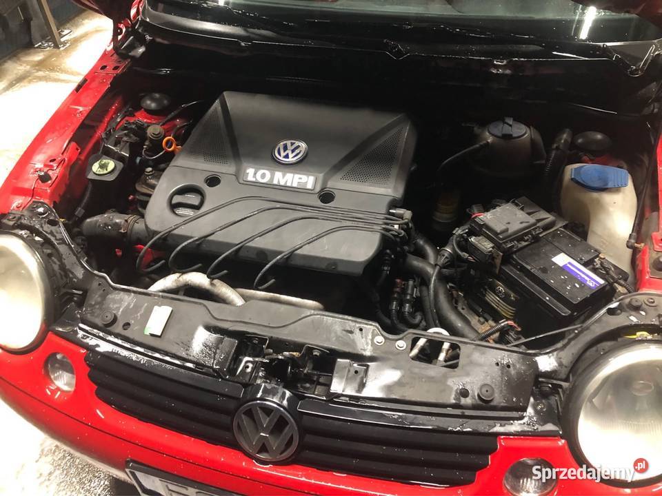 Lupo 10 mpi lpg pomorskie Nowy Dwór Gdański