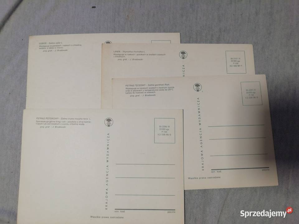 Ryby słodkowodne kartki małopolskie Kraków