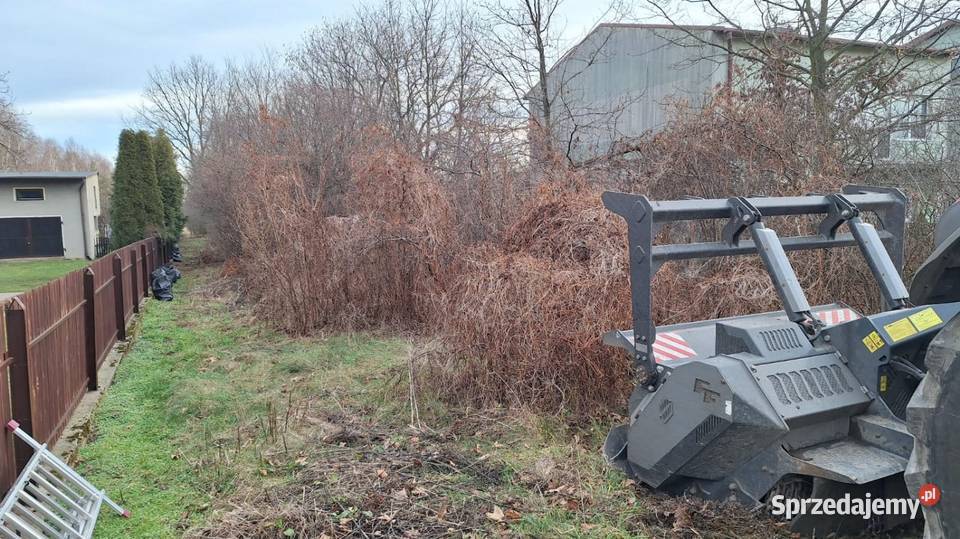 Wycinka drzew materiał Karczowanie i usuwanie drzew