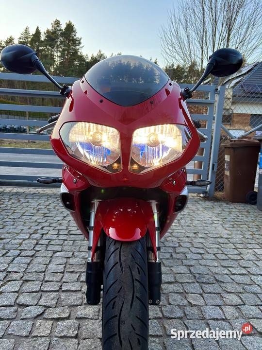 Triumph 955i Daytona 2006 stan TOP motocyklisty Poznań