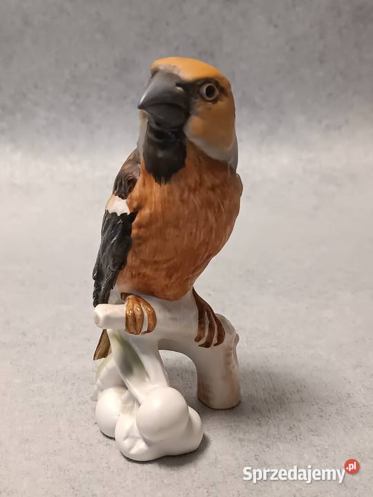 GOEBEL Ptak Grubodziób Hawfinch Kolekcjonerska Gdańsk