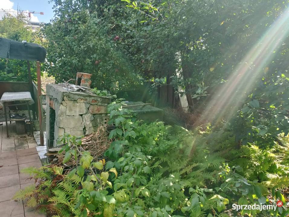 Sprzedam ogródek działkowy rod Plon Grunty i działki Wrocław