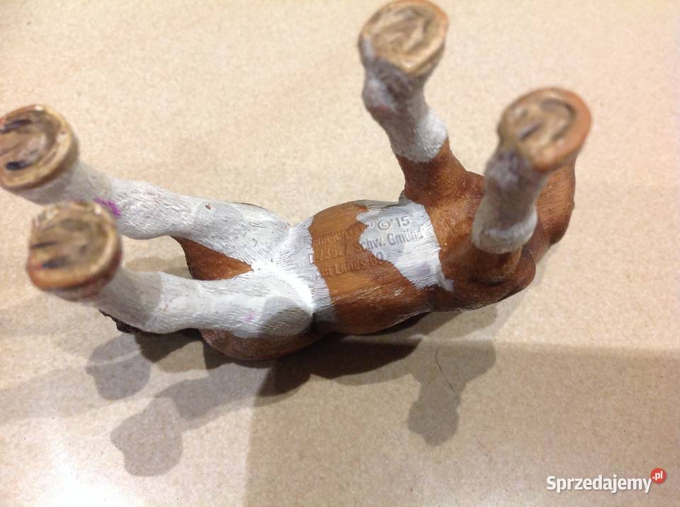 Konik Koń Źrebiak Źrebię Schleich Sygnowany
