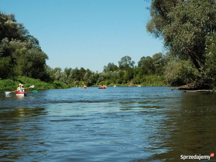 Piękna działka we wsi Kosyń gmina Wola Uhruska