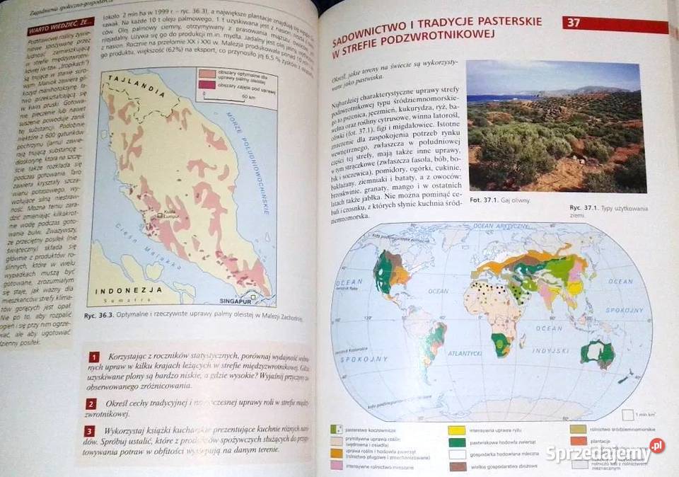 Geografia Podręcznik Zakres podstawowy D sprzedam