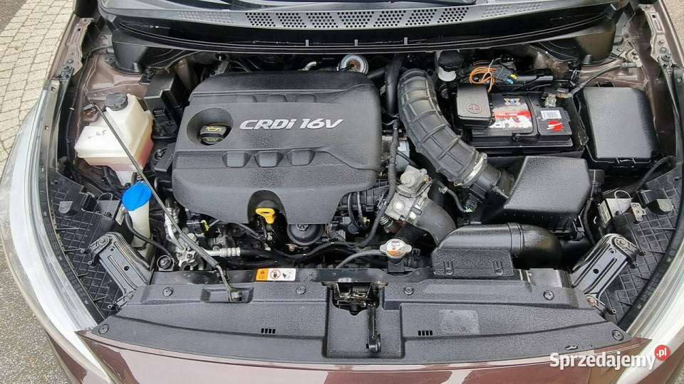 Kia Ceed Navi Kamera Alu LED 16 128 GWARANCJA centralny zamek Płońsk sprzedam