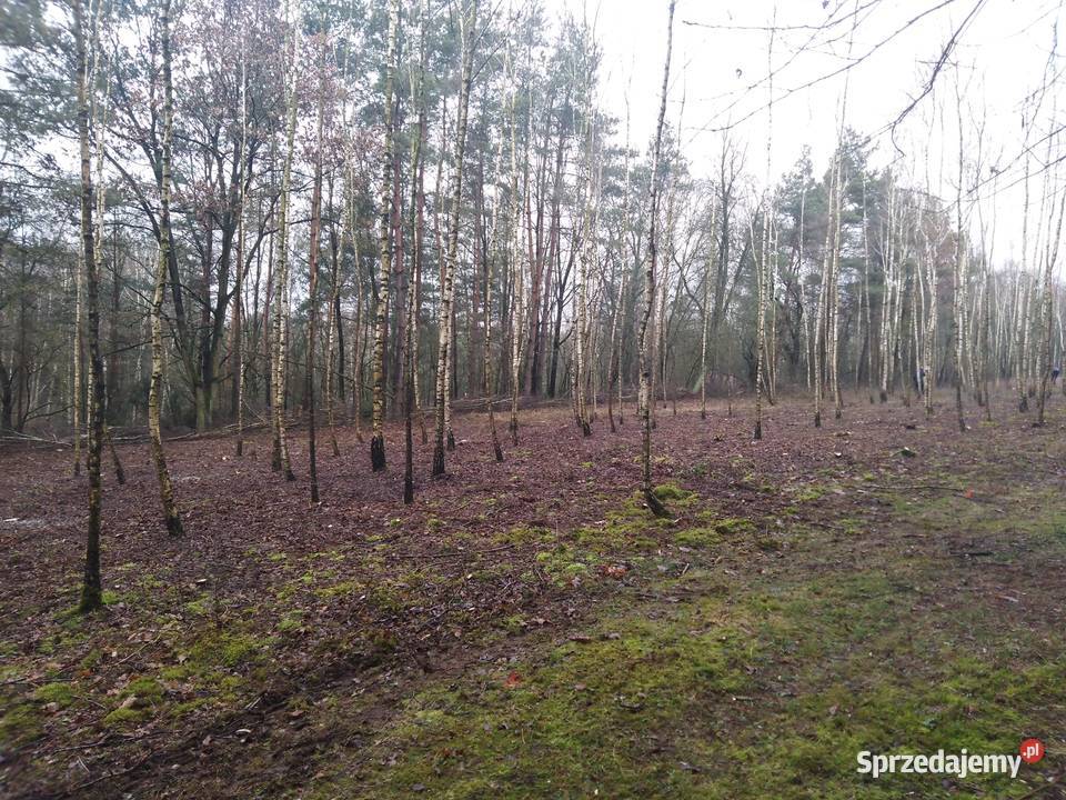 działka nad jeziorem Huta. k Rypina